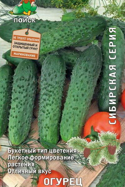 Семена огурец - реванш F1 ТМ Поиск