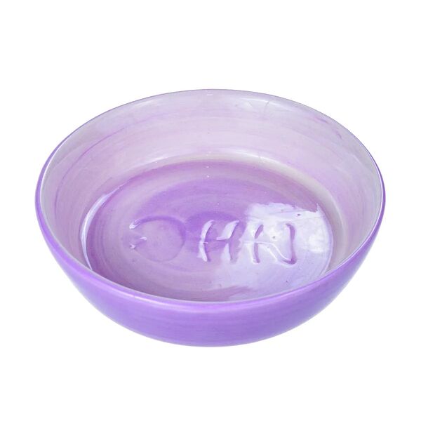 Миска для кошек с рисунком Рыбья кость, 0,2 л/ф 13 см, керамика, цветная