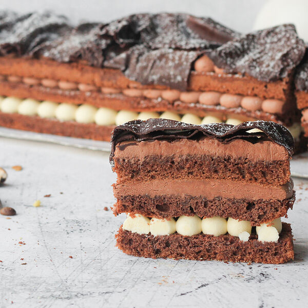 Торт Тартюфо (прямоугольный) не нарезан