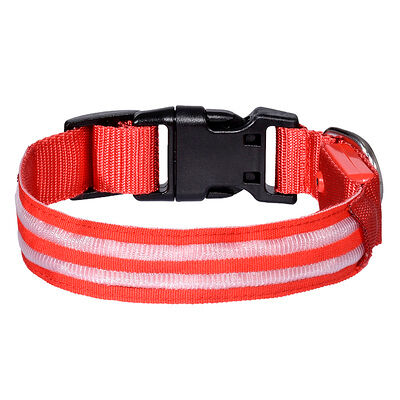 Светодиодный ошейник Tappi Конти, красный, размер L, 2,5x60см