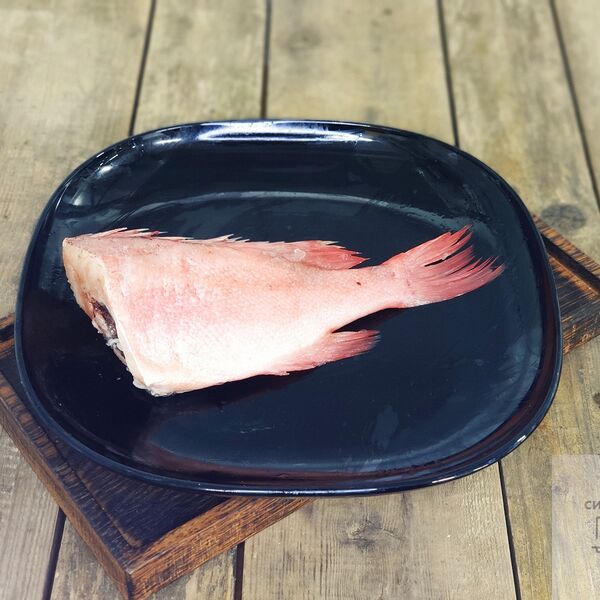 Окунь морской охл