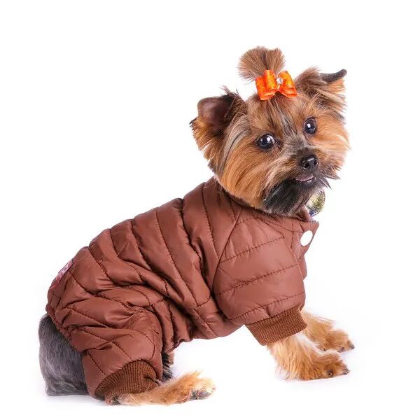 Комбинезон для собак XS коричневый (девочка)