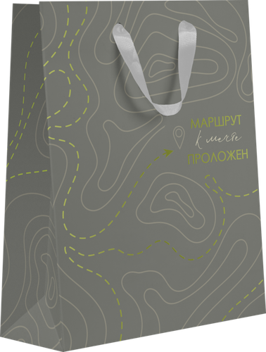 

Пакет подарочный Neon, 22,7х18х10см, Арт. MT