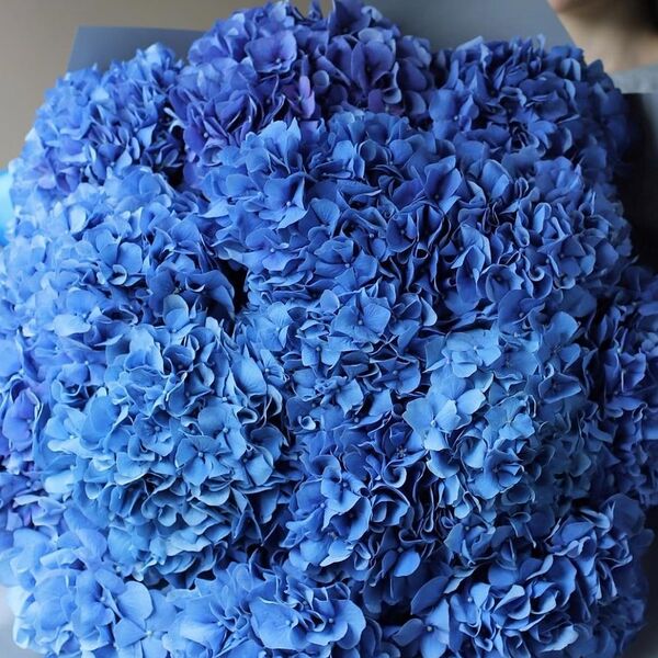 Букет из синей гортензии
