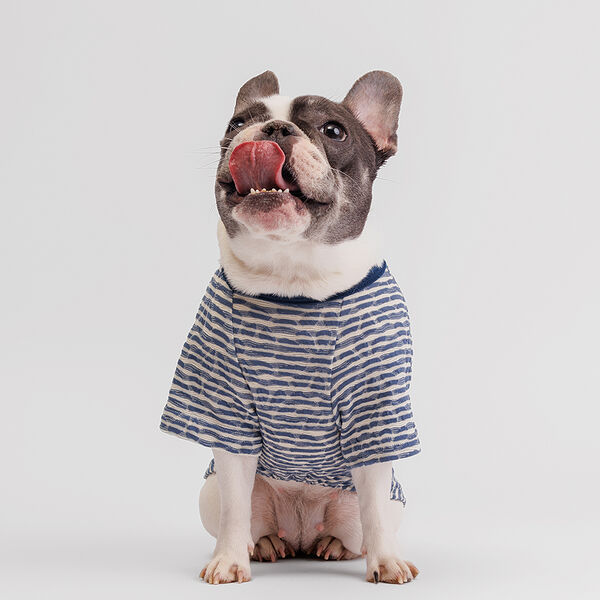 Футболка для собак, XL, синяя в полоску