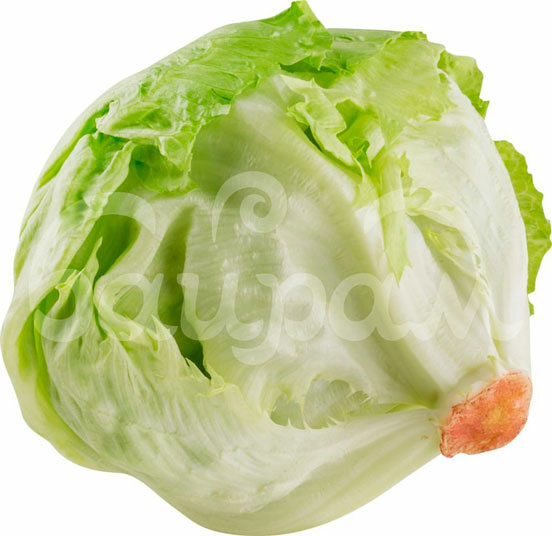 Салат  Айсберг шт