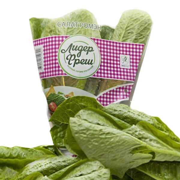 Салат ромэн в горшочке, Россия