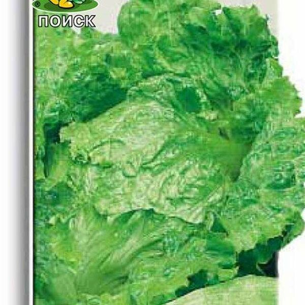 Семена Салат Крупнокачанный ТМ Поиск