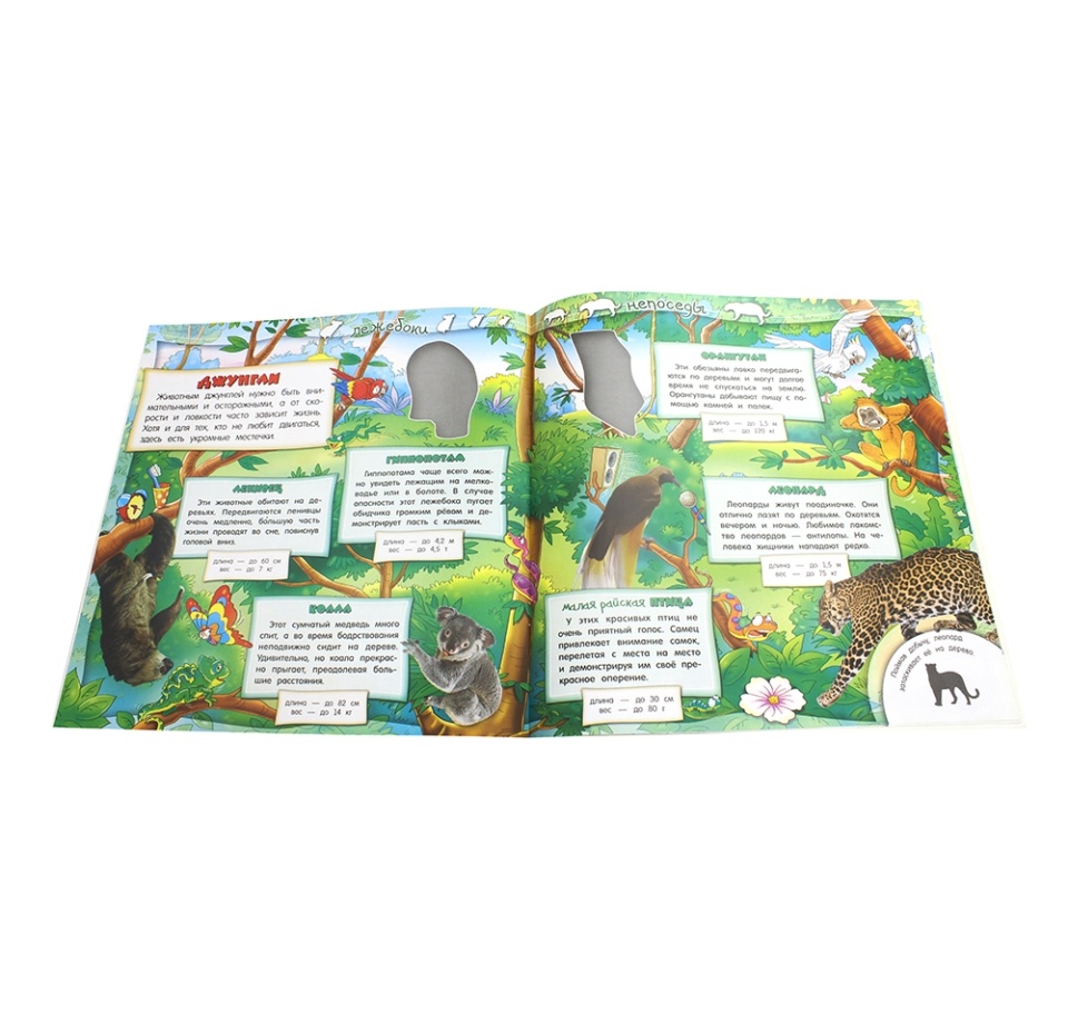 

Книга Самые-самые. Лежебоки и непоседы, Россия