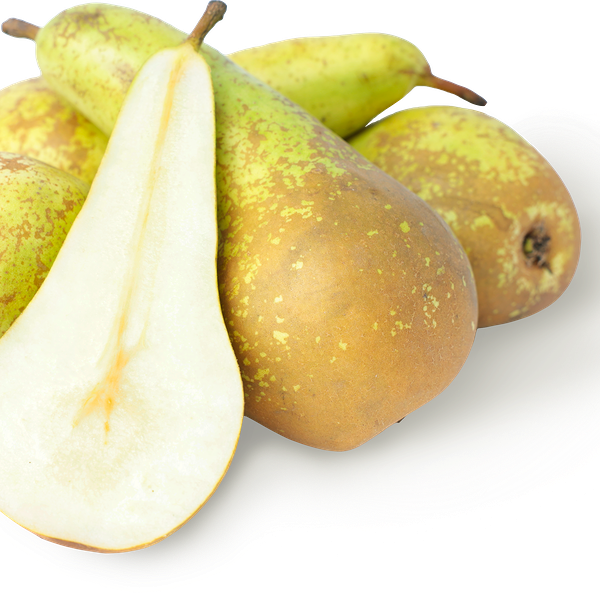 Груши Конференция