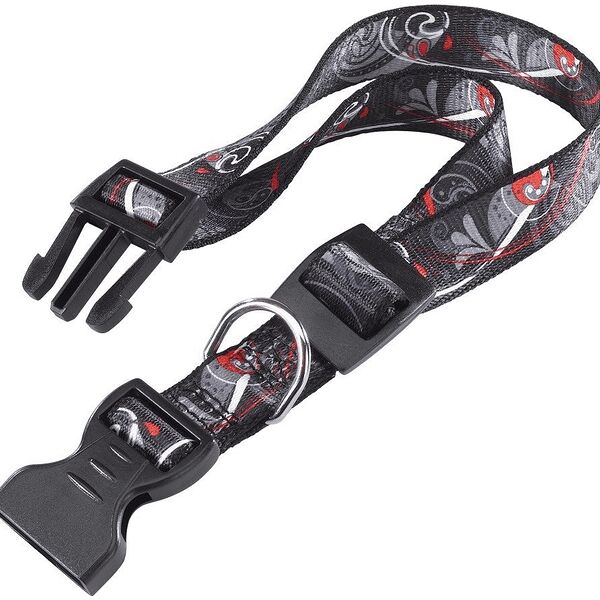 Ferplast ошейник нейлоновый Arlecchino C20/56 36-56*20мм