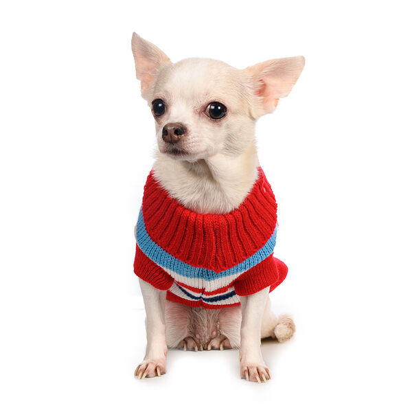 Свитер для собак 55см 4XL красный (унисекс)