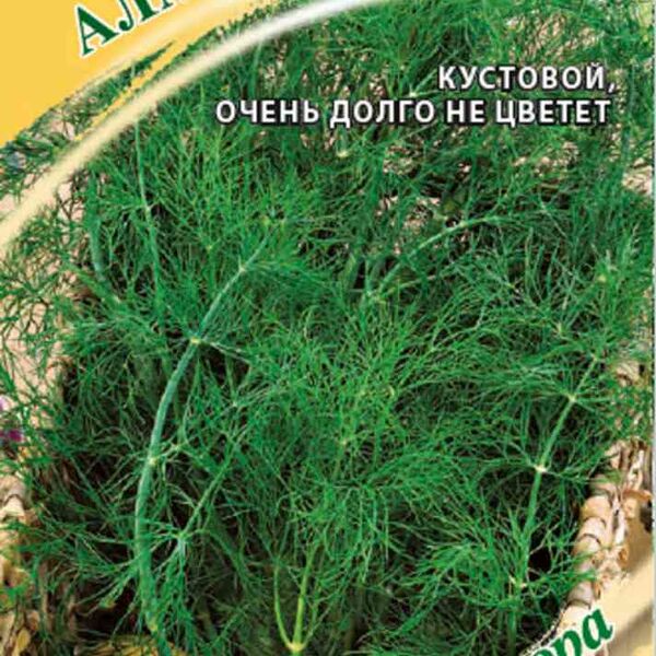 Укроп Алмаз Гавриш Семена от автора