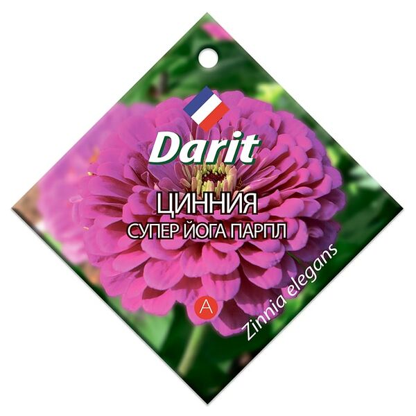 Семена Darit Цинния Супер Йога Парпл 0.5г