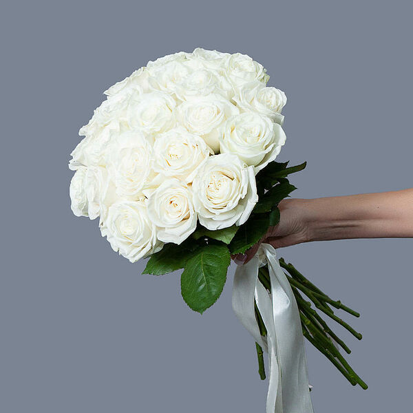 Монобукет 21 пионовидных Роз Playa Blanka под ленту