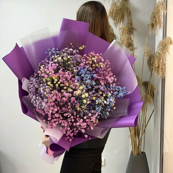 Яркая гипсофила