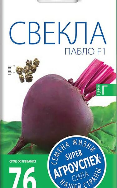 Семена Агроуспех Свекла Пабло F1 0.5г
