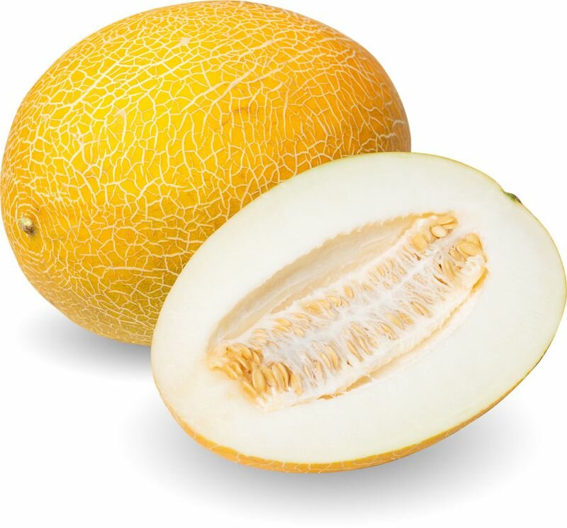 Картинки дыня на белом фоне