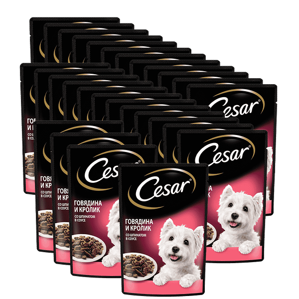 Корм для собак CESAR Говядина, кролик, шпинат пауч 85г (упаковка - 28 шт)