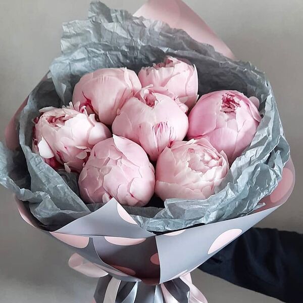 Букет из 7 розовых пионов