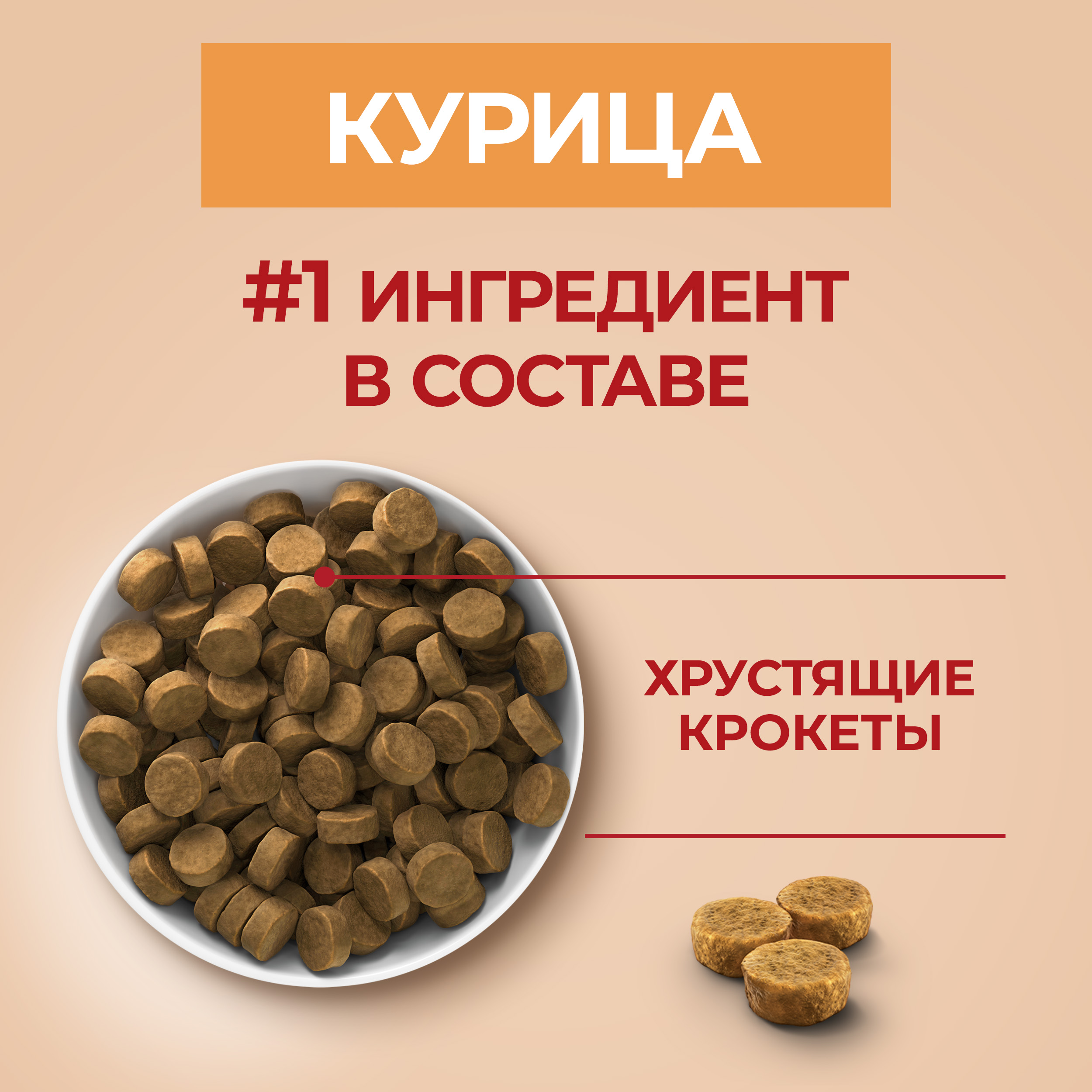 

Корм для щенков Purina One средних и крупных пород курица и рис 700 г