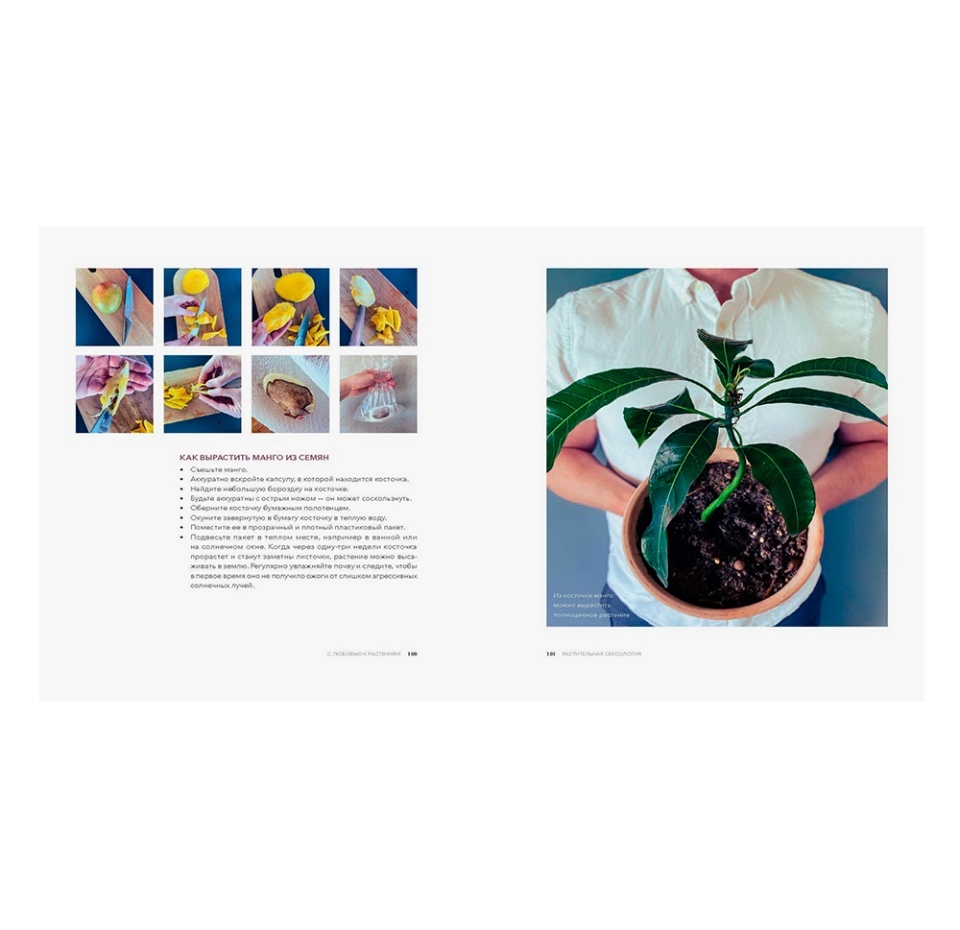 

Книга «с любовью к растениям. Как обустроить зелёный оазис у себя дома» Рёйнеберг Андерс, «миф», Россия