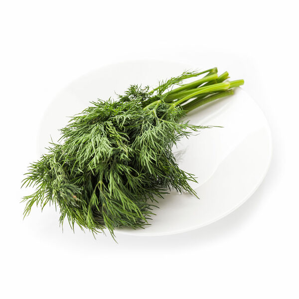 Укроп Россия