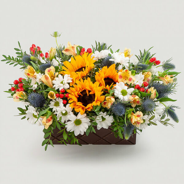 Букет в кашпо Волшебный фонарь