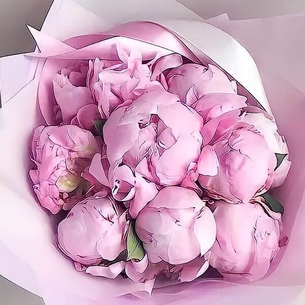 Букет из 9 розовых пионов