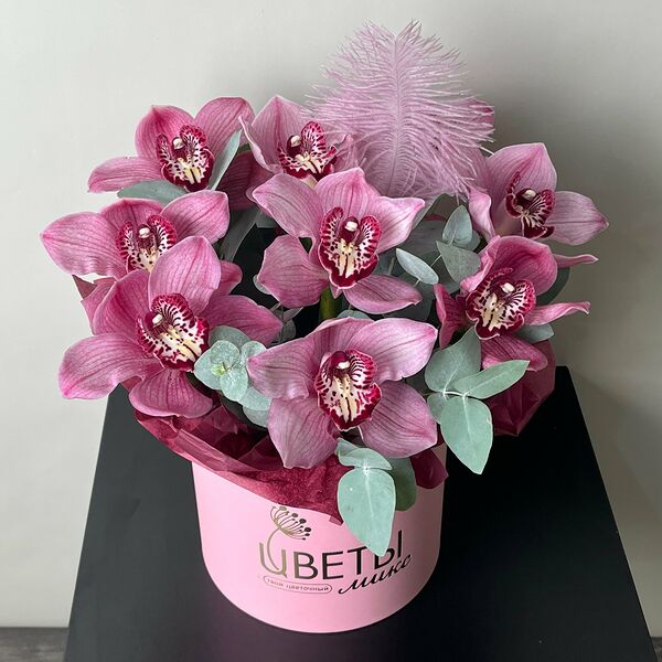 Орхидеи с перышком