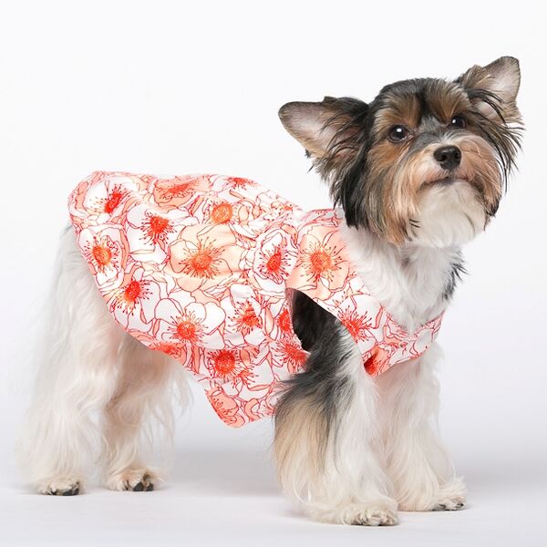 Платье для собак Прованс M (девочка)