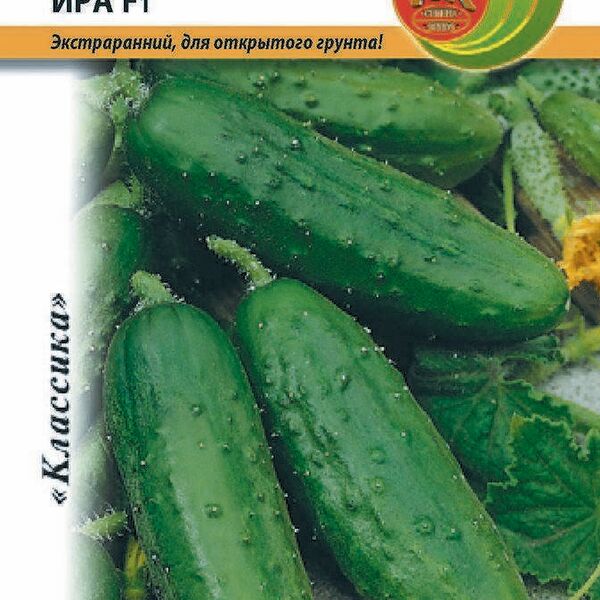 Огурец Ира F1 (10шт)