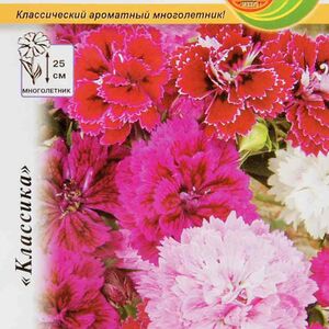 Семена Гвоздика перистая Махровый ковер Русский Огород смесь