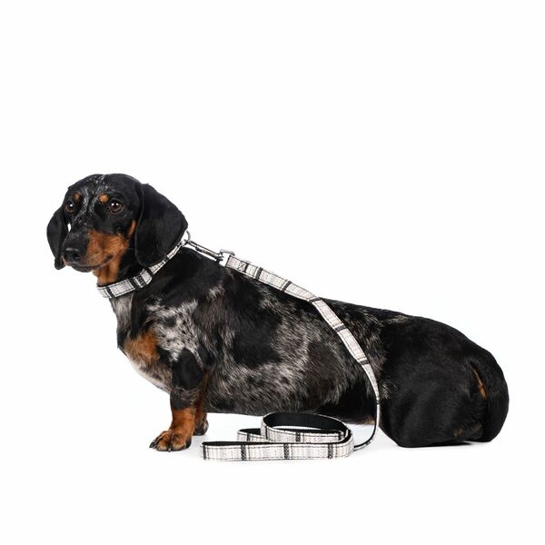 Поводок для собак серый M, 1,9х120 см