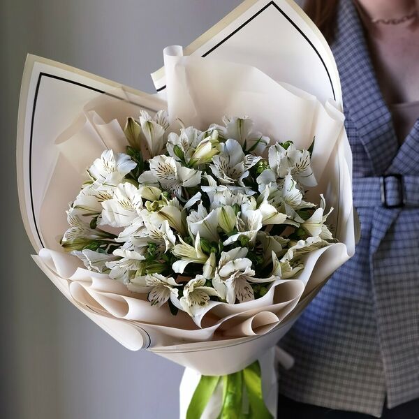 Белые альстромерии