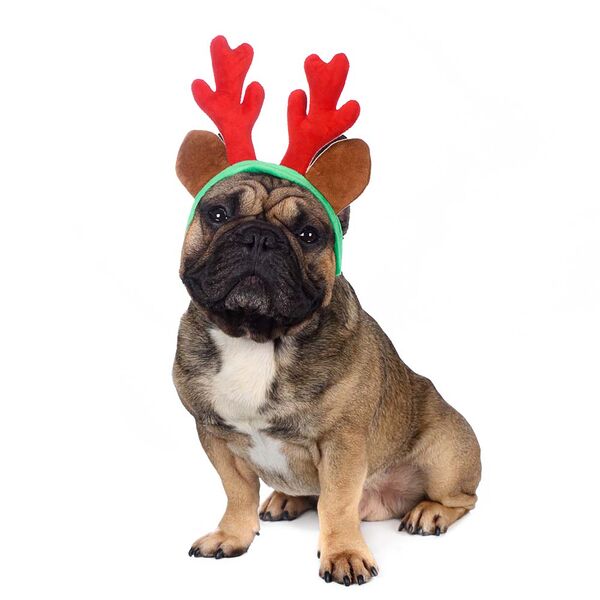 Ободок безразмерный для собак и кошек Рога оленьи малые красный (унисекс)