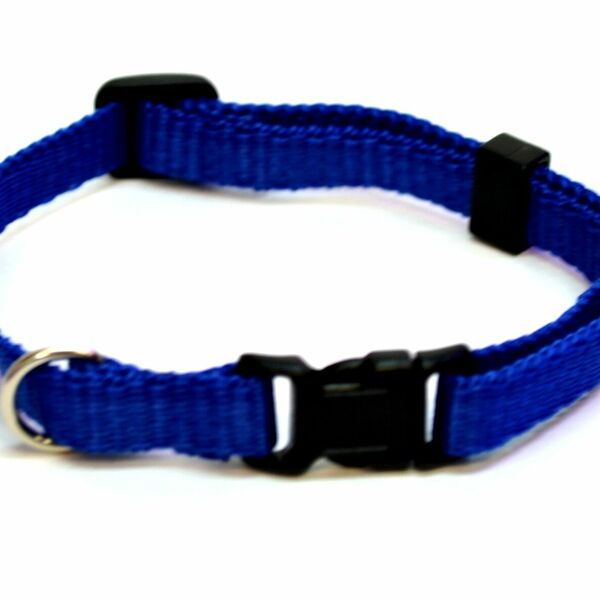 Ошейник капроновый синий фастекс 40см