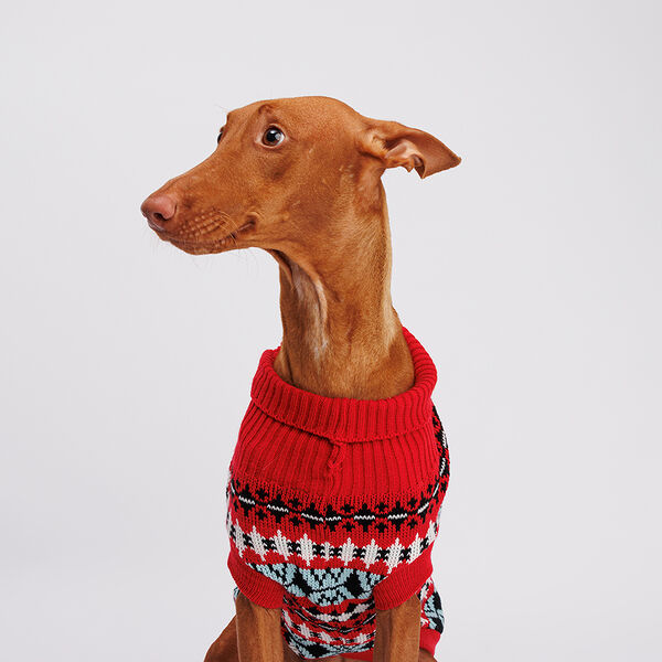 Свитер с узором для собак, 55 см, красный