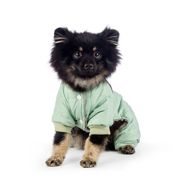 Комбинезон для собак 2XL зеленый (унисекс)