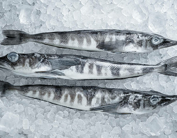 Ледяная свежемороженая