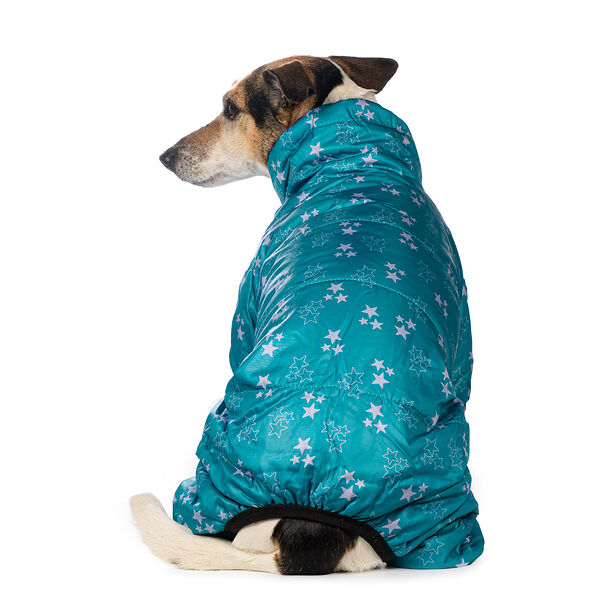 Комбинезон для собак M голубой (унисекс)