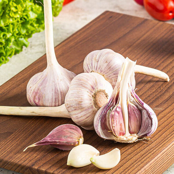 Чеснок Иран