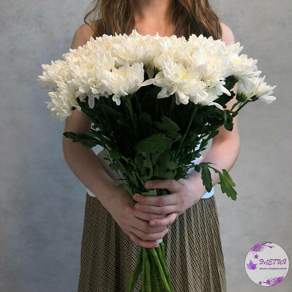 Букет из 11 хризантем белого цвета