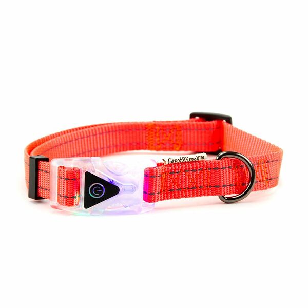 Ошейник для собак GREAT&SMALL со светящейся застежкой 400-550мм оранжевый