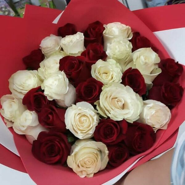 Любимая классика