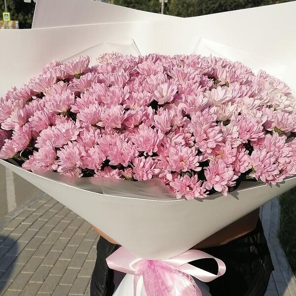 Хризантемы гигант