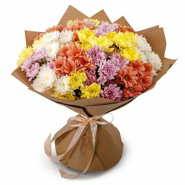 Букет 19 кустовых хризантем (50см)