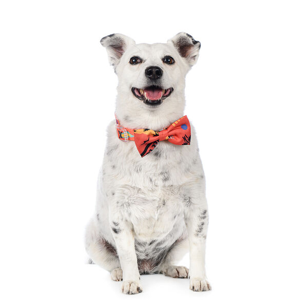 Галстук-бант оранжевый L