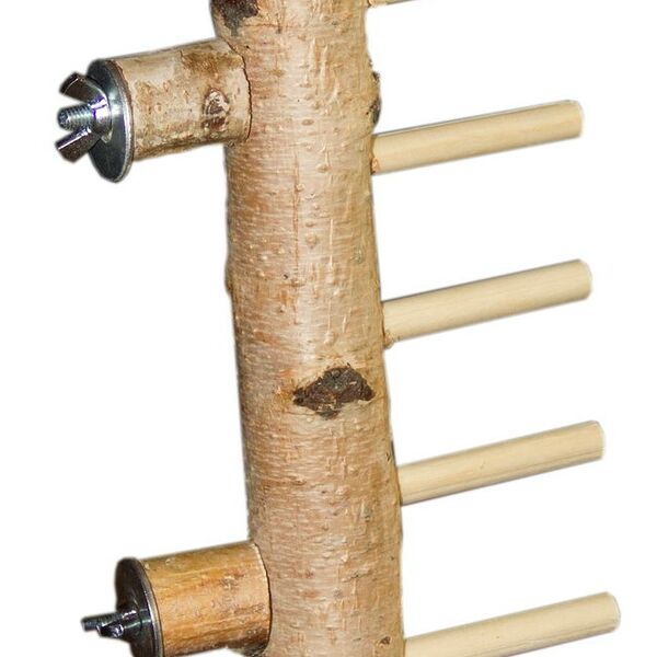 ParrotsLab PL2065 лесенка для птиц и грызунов 23 см.