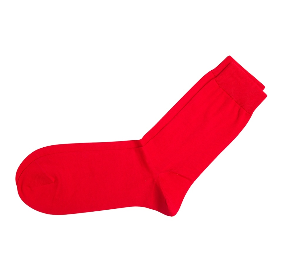 

Носки мужские Askomi Premium Am-7940 цвет красный р.27 (41-42), хлопок 100%, Россия